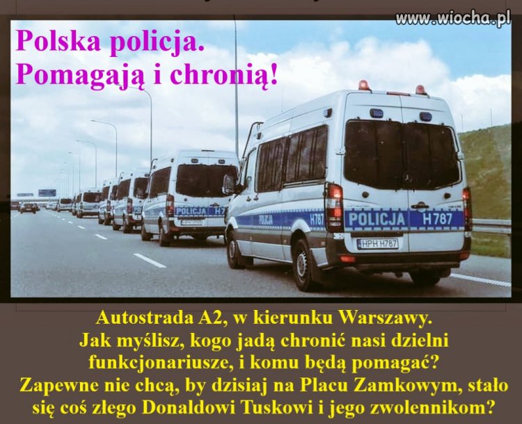 Pomagają i chronią!   