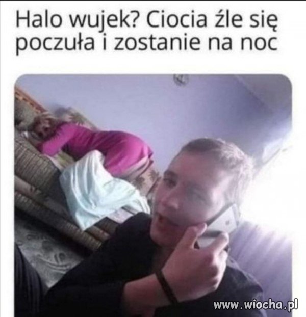 Pisowska rodzinka.