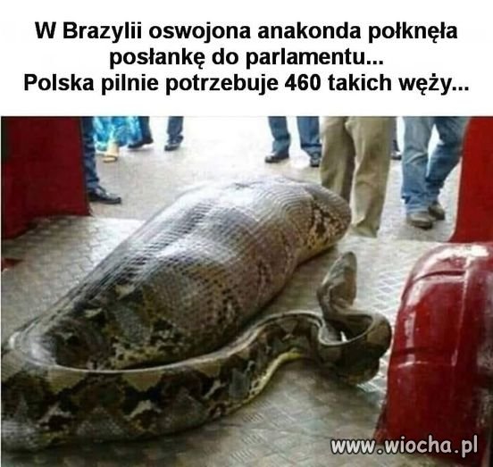 Duże zapotrzebowanie 