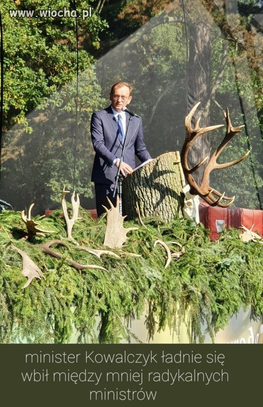 Tytuł niepotrzebny.