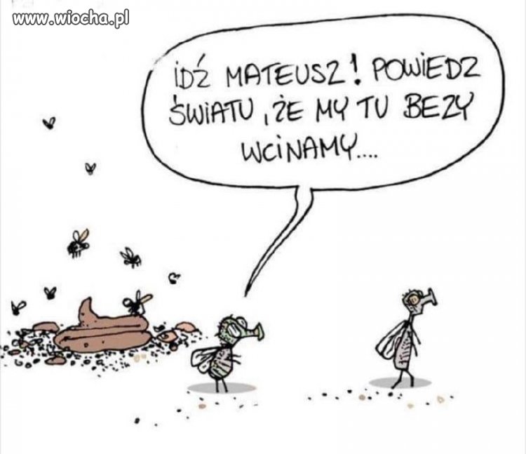 Idź i powiedz 