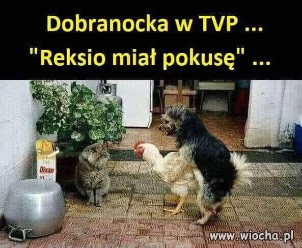 Już wkrótce w TVP ...