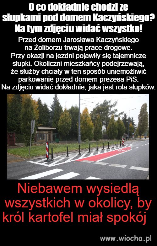 Król kartofel 