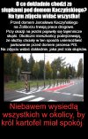 Król kartofel 