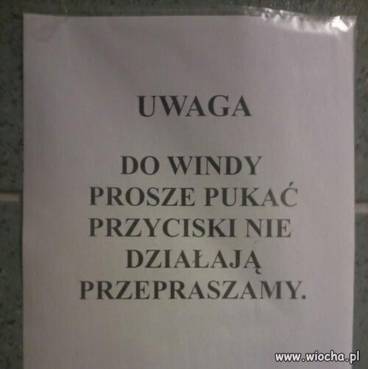 Znalezione 