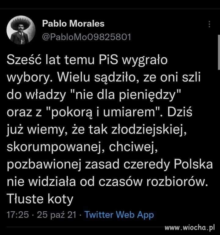 Tłuste koty 