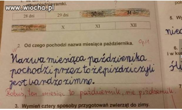 Etymologiczna ciekawostka.
