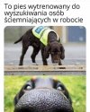 Lepiej uważaj 