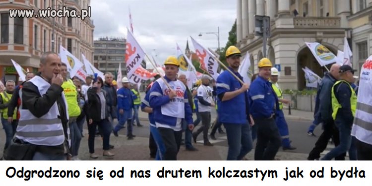 Gdyby protestowali przeciwko pis