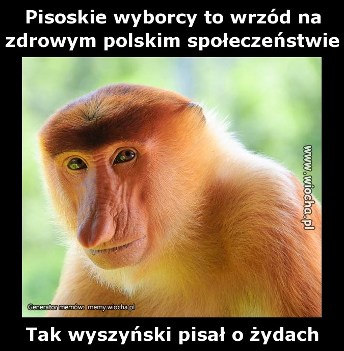 Pisoskie wyborcy to wrzód na zdrowym polskim