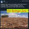 Da bóg, że nadejdzie taki czas...