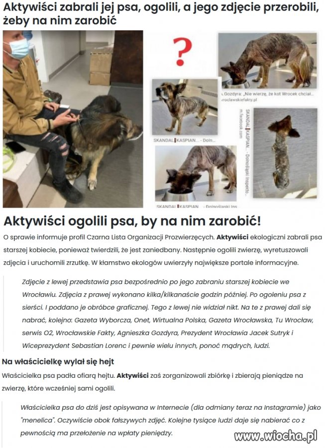 To nie aktywiści to są zwykłe zbiry i cwaniaki.