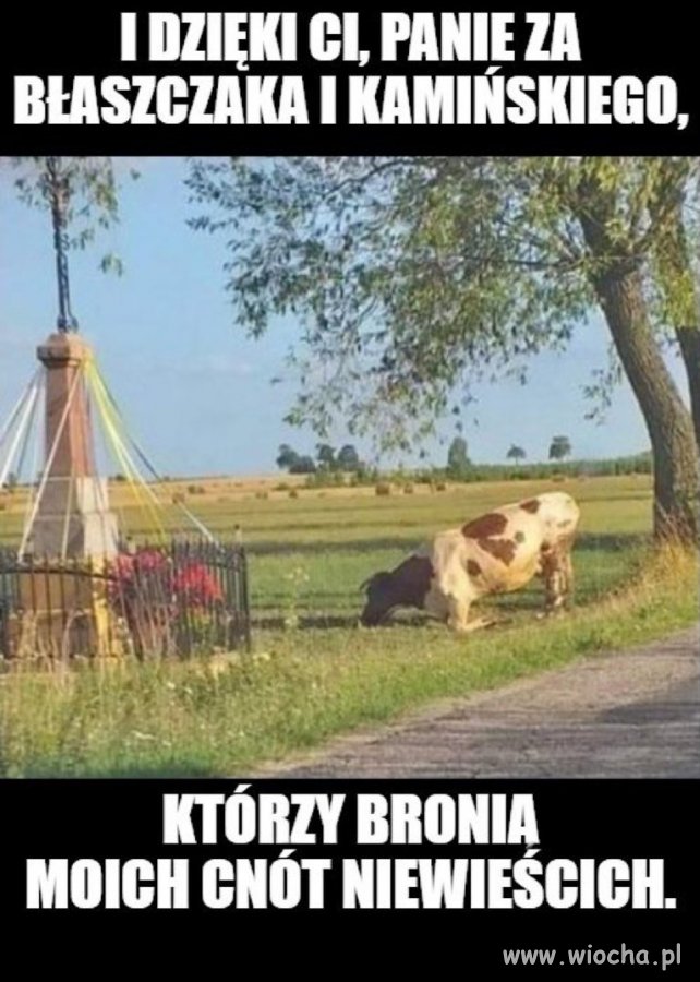 Jestem za 