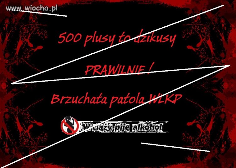 500 plus