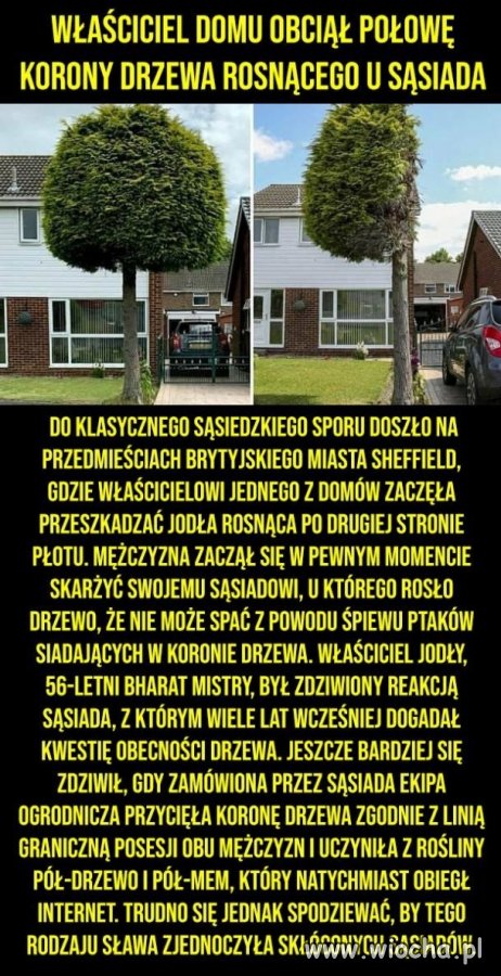 Chyba ma polskie korzenie