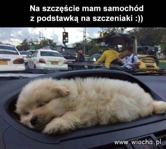 Motoryzacyjne