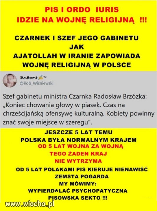 PiSowscy katotalbowie roznia sie od afganskich,tylko wygladem