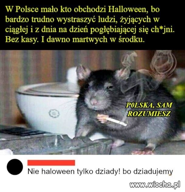 Halloween po Polsku