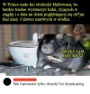 Halloween po Polsku