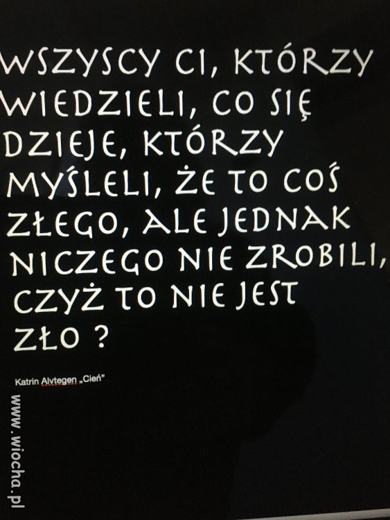 To tylko cytat