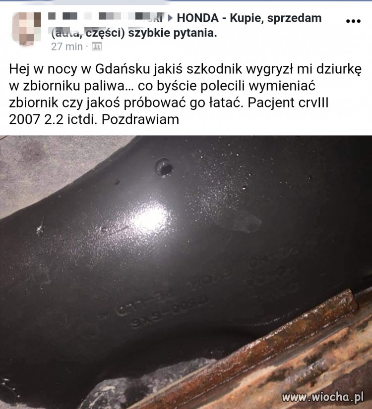 Władza daje przykład 