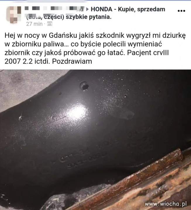 Władza daje przykład 