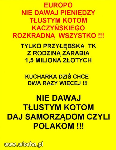 EUROPO NIE DAWAJ PIENIĘDZY TŁUSTYM KOTOM ... 