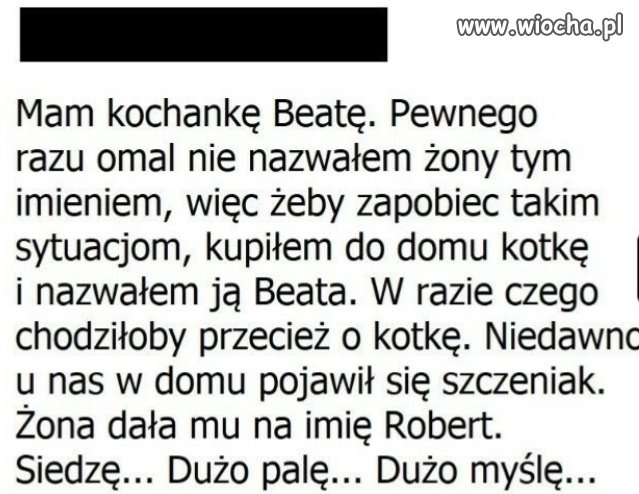 Znalezione 