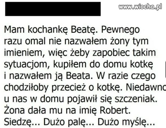 Znalezione 