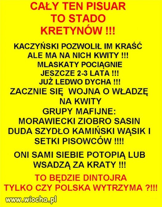 CAŁY TEN PISUAR TO STADO KRETYNÓW !!!
