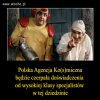 W PiS takich nie brakuje...jeden glupszy od drugiego