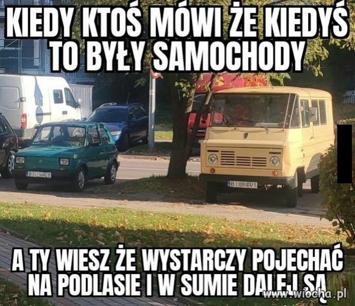 Powrót do korzeni
