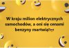 Powiedział Pan Morawiecki.
