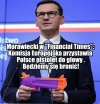 Tytułu brak.