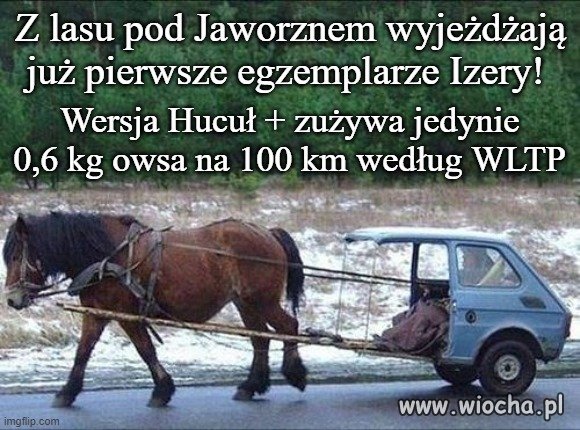 Hucuł +