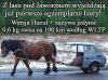 Hucuł +