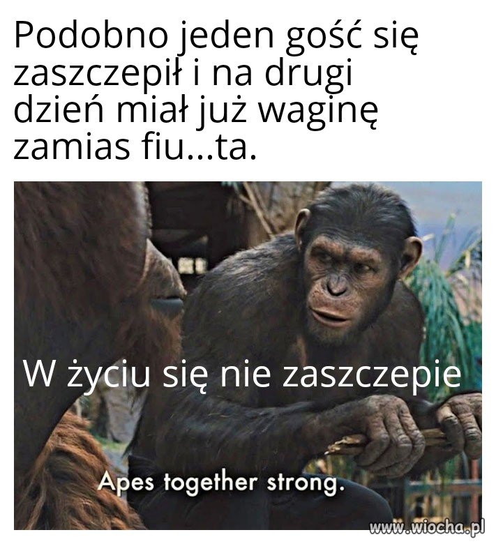 Tak było naprawdę