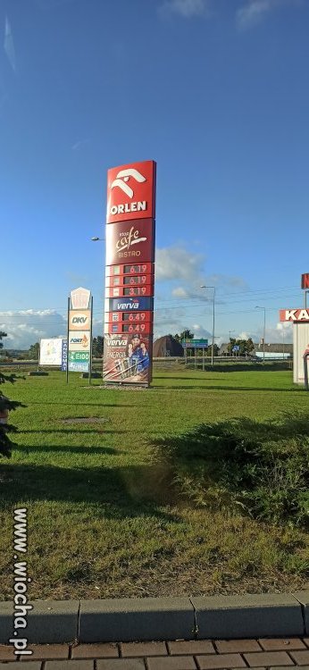 PISowski cud, miód i orzeszki