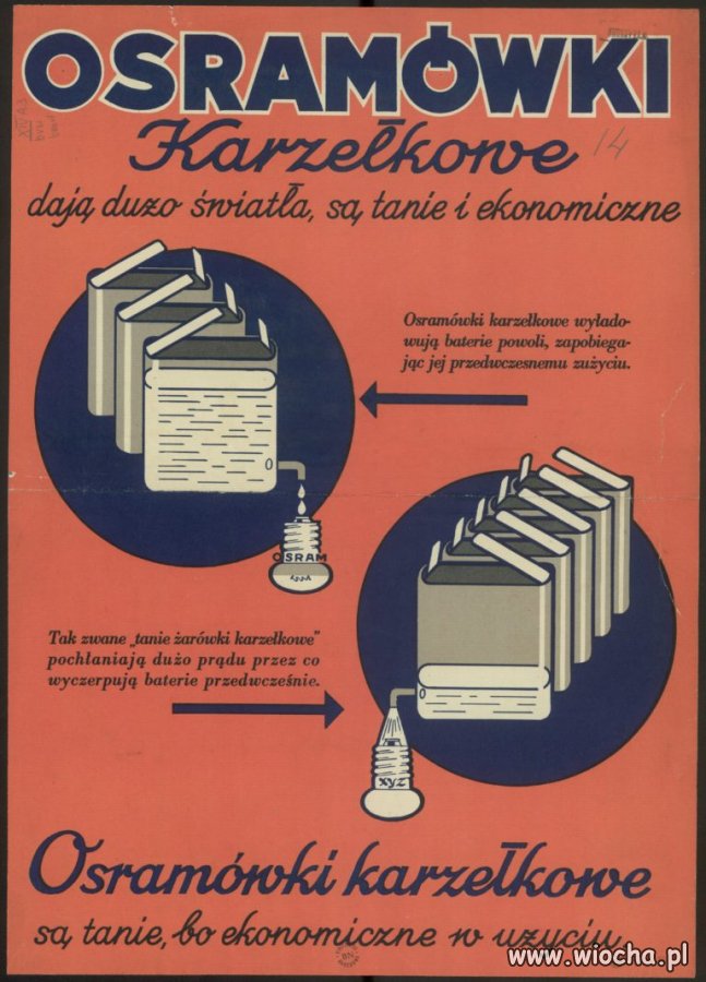 Osramówki karzełkowe