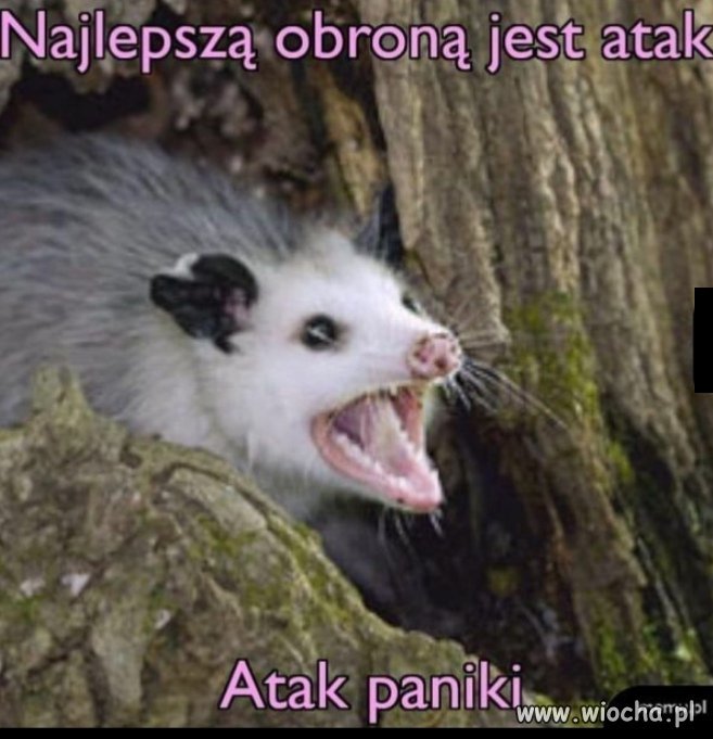 Prawda? 