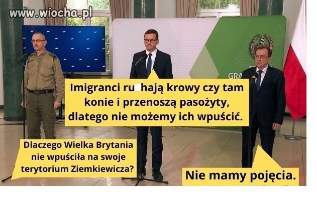 Coś w tym jest