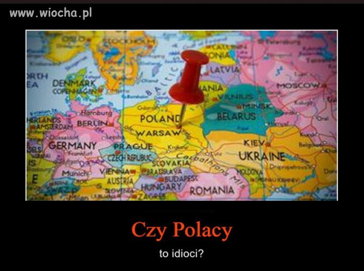 Są inteligentne jednostki ale ogół... 