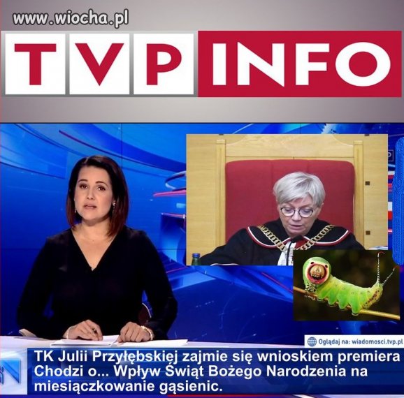 Tytuł zbędny.