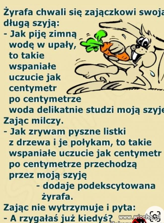 Odpocznijmy od polityki