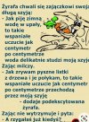Odpocznijmy od polityki