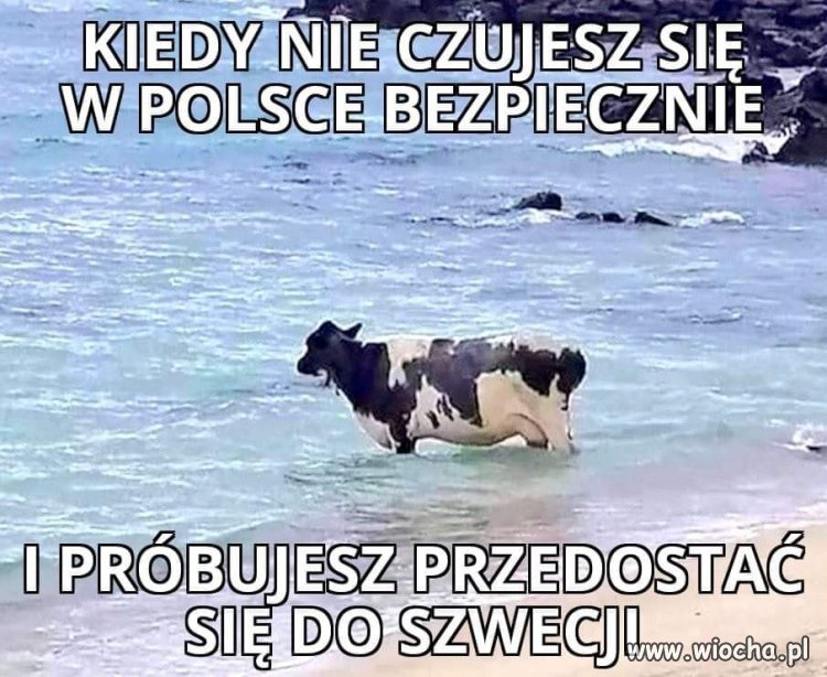 Każdy już zaczyna emigrować