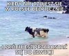 Każdy już zaczyna emigrować