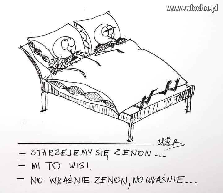 Zenonowi wszystko wisi 