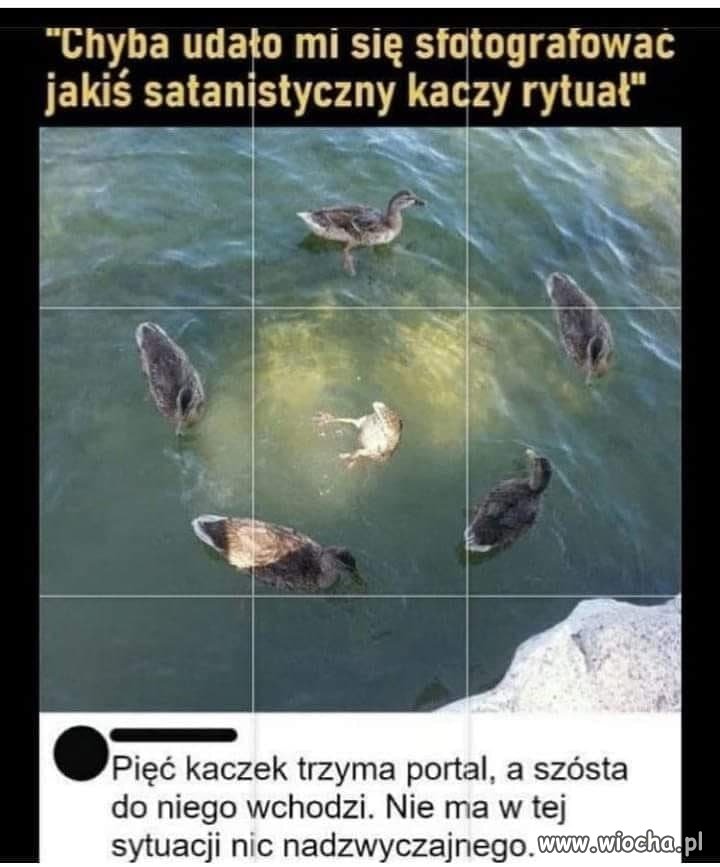 Popieram