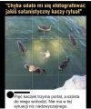 Popieram